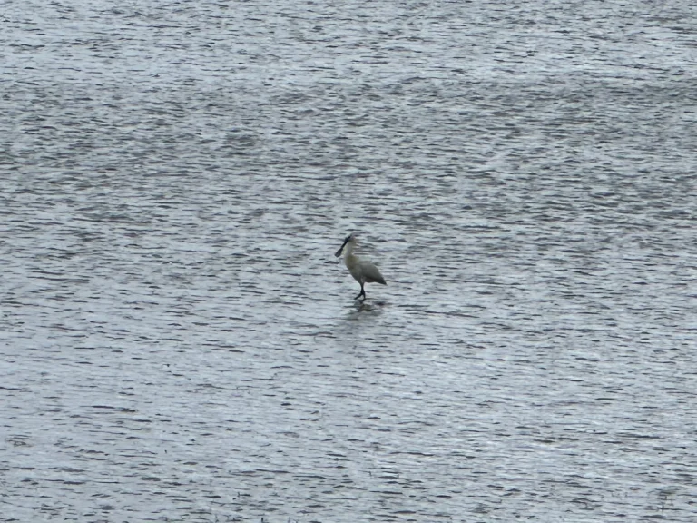 9063330b c56d 4a11 9f55 455bf4791015