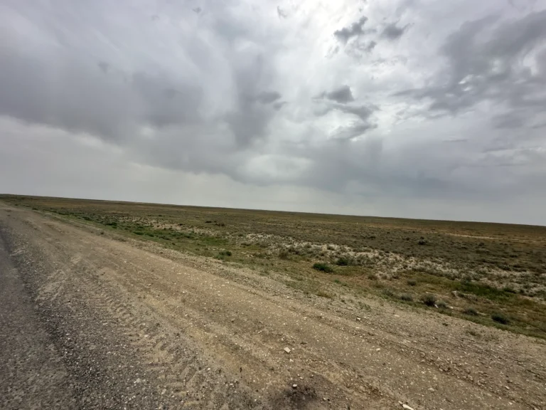 9193b7fb 1bce 498c 8ae8 18f9f38229de