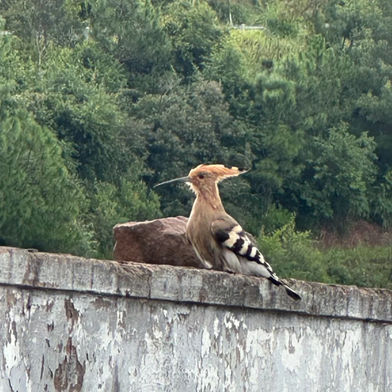 92edd317 ec6d 41de 8a8c 13de1445176f