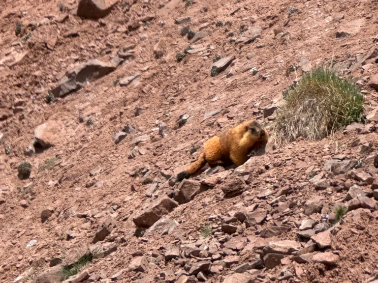 Blog Tag 112 930a7b71 19e8 43bb b3f5 dbcfb21cf75d