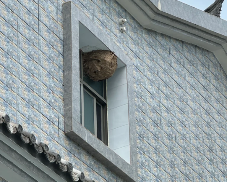 Blog Tag 173 9491362f b742 4afa 9884 9a49cca6e764