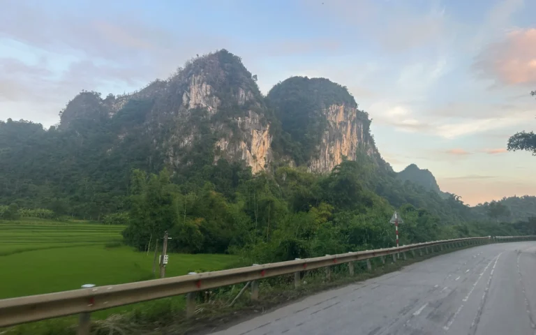 99a5b8bc 46cf 45a6 b150 b371e39ef10c