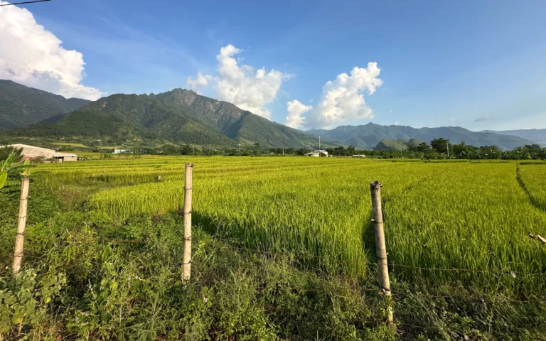 9afc37a8 4737 46ae a33a a448308b2e4f