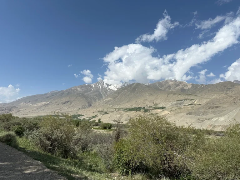 9b38aea1 9944 4871 a27e 527961d5a872