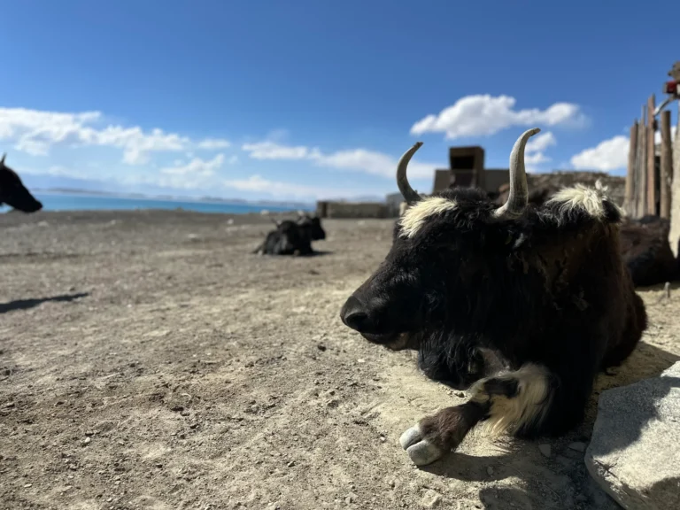 Blog Tag 111 9eba75a5 0696 4d11 b764 f0f0c5942b27