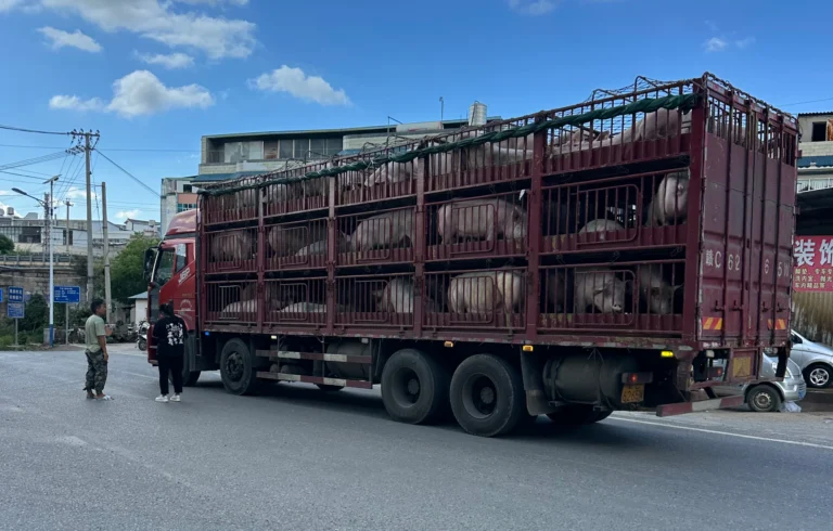 Blog Tag 173 9f051201 ad62 416a bbb8 3de5fde76dc9