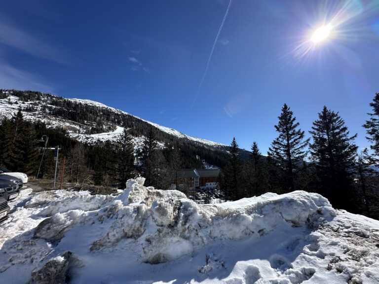 Blog Tag 009 img 5419