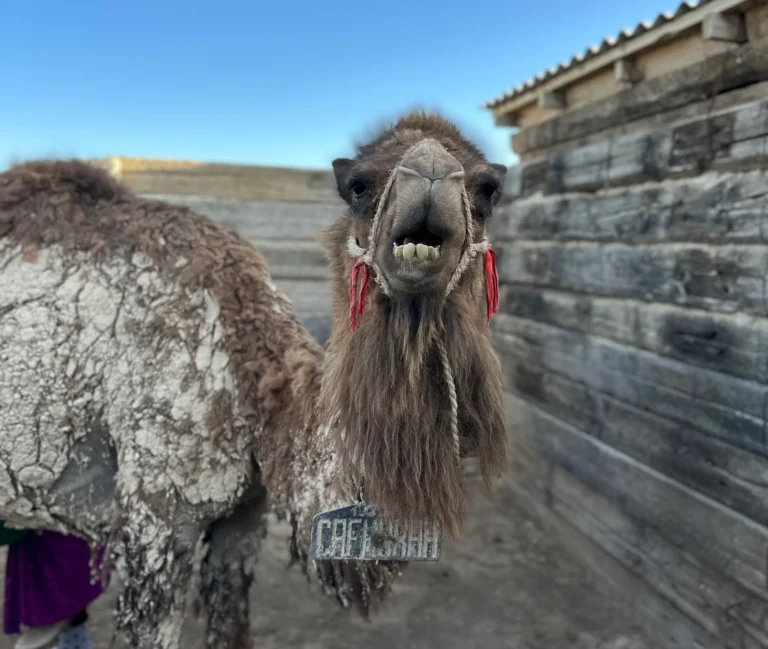 a07ee9b8 1d6d 4cb4 99c4 9a511a5a10d4