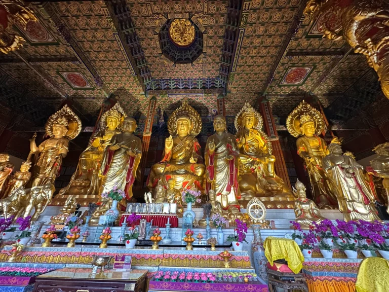 a1b616d5 a452 4d63 b584 997fd26ef4a3