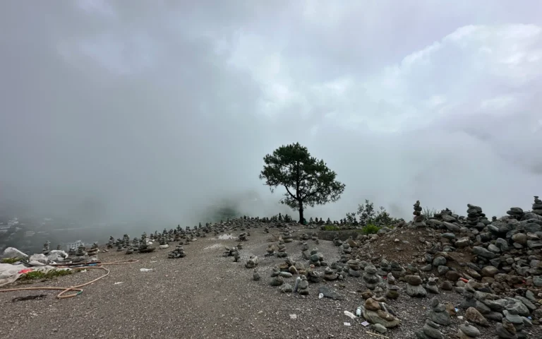 ae217b3b 6866 4af2 98cf 8fd2186fd296