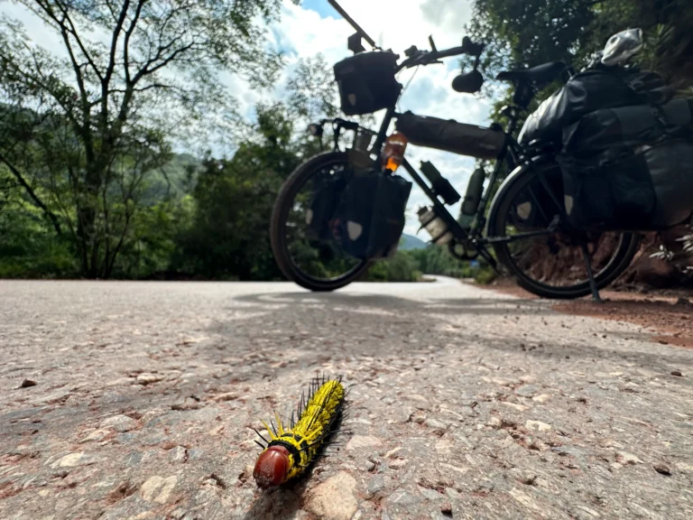 aeb5a822 1b49 4e96 9e97 46c147563319