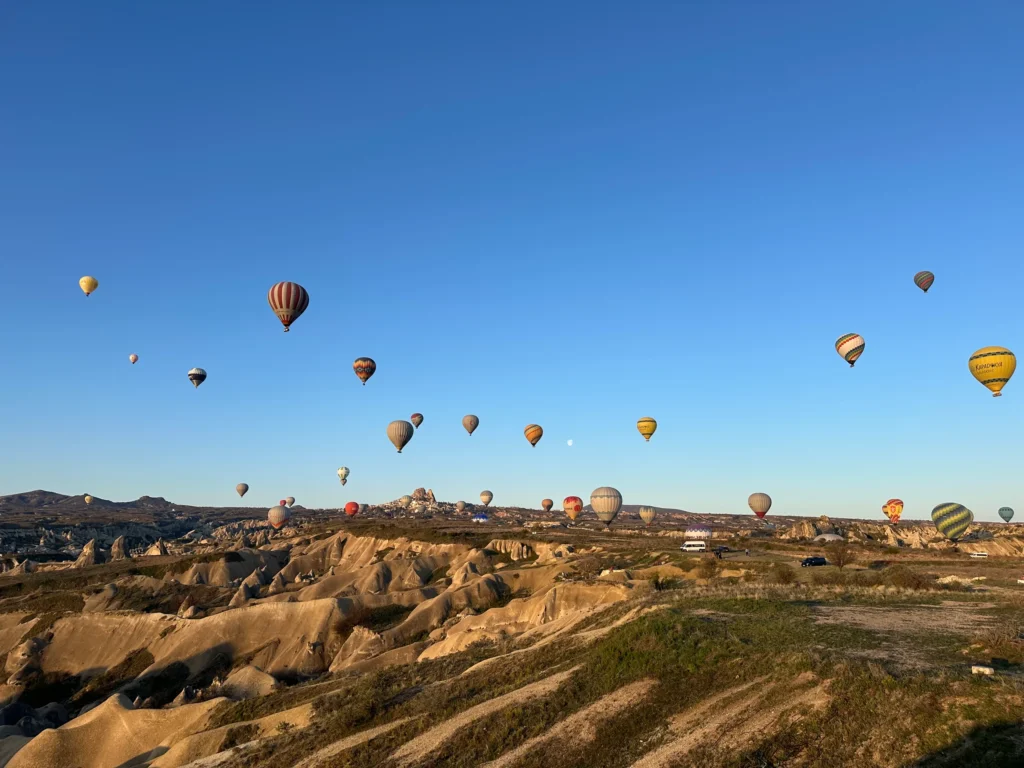 Blog Tag 054 b1987757 84ed 4491 a4d6 96cfa37133fa