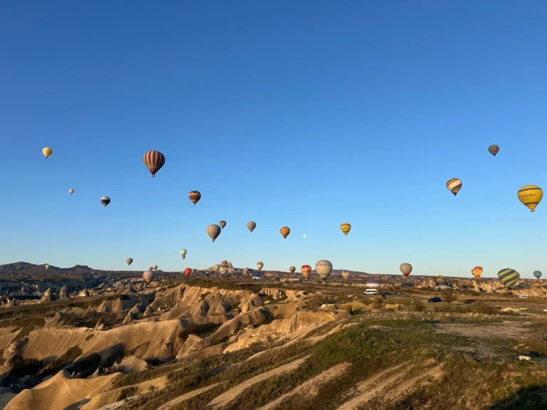 b1987757 84ed 4491 a4d6 96cfa37133fa