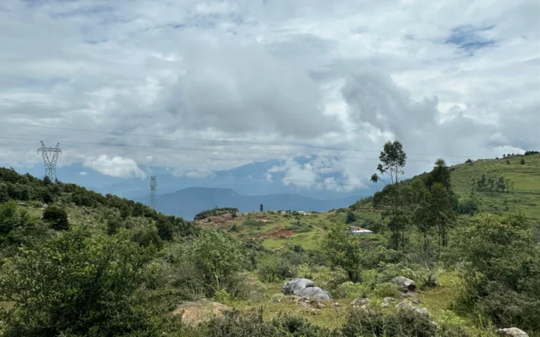 b1cadf4f 06e5 49ea a3c1 cf6719328385