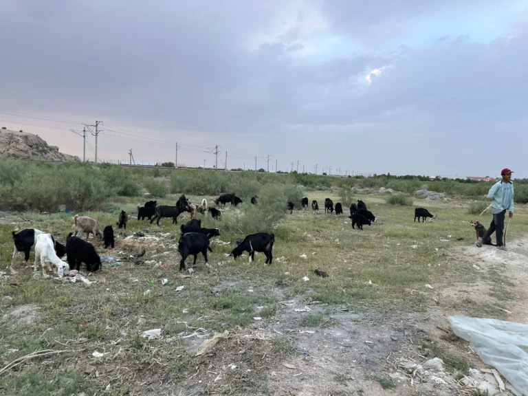 b1f269b3 b094 4f9f b226 00dfd4e2b704