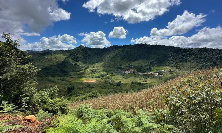 b7156194 945b 48b4 ac4c 1339f0deaed3