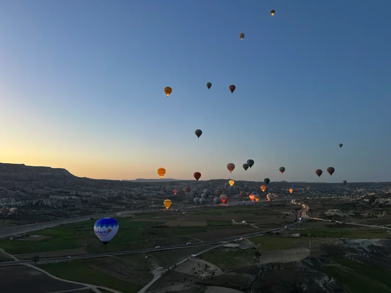 b8d1490e 8c79 47a4 acff 6c4a620f058d