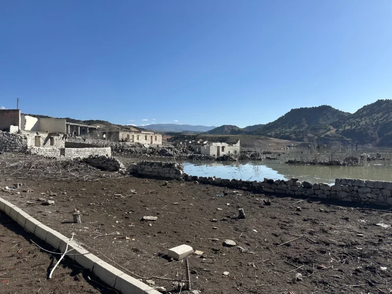 bc767eb2 1cf0 4743 844a 5a69c9a698c2