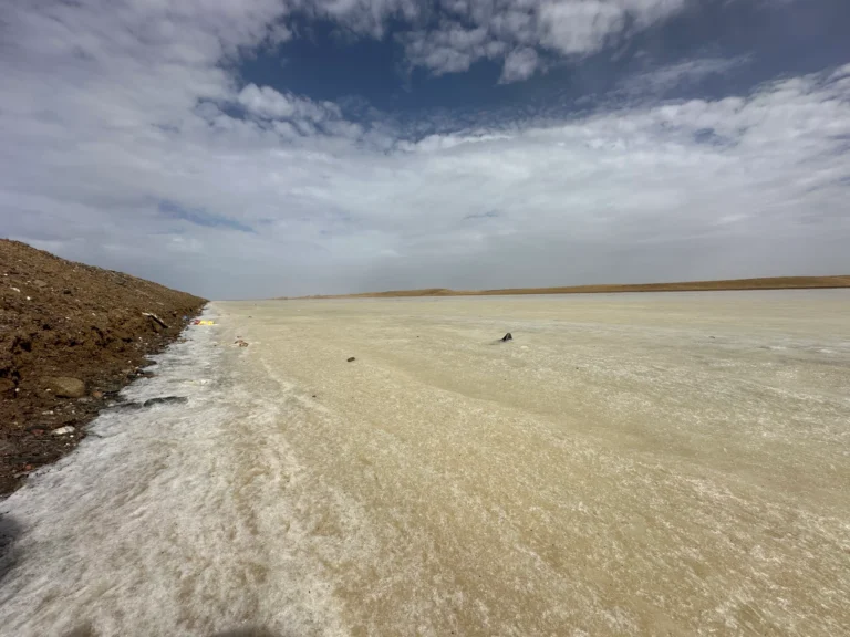 Blog Tag 147 bdf5eeb0 ef75 4daa 9e37 9b44de71767c