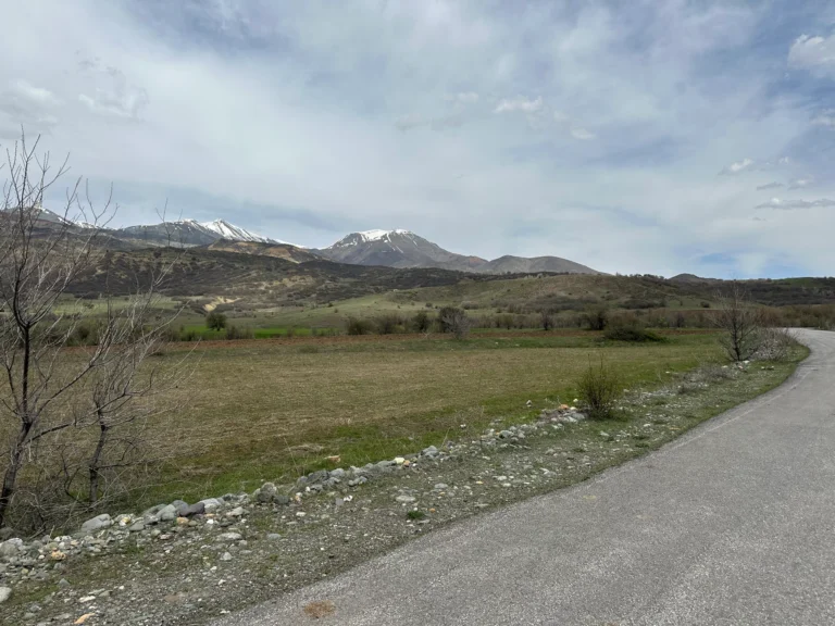 be1d9510 558b 44b3 8eb9 37d19f636fd9