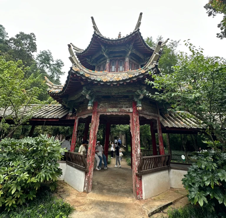 Blog Tag 177 c010c493 c027 48d6 9c2b 31c2d2cedffd