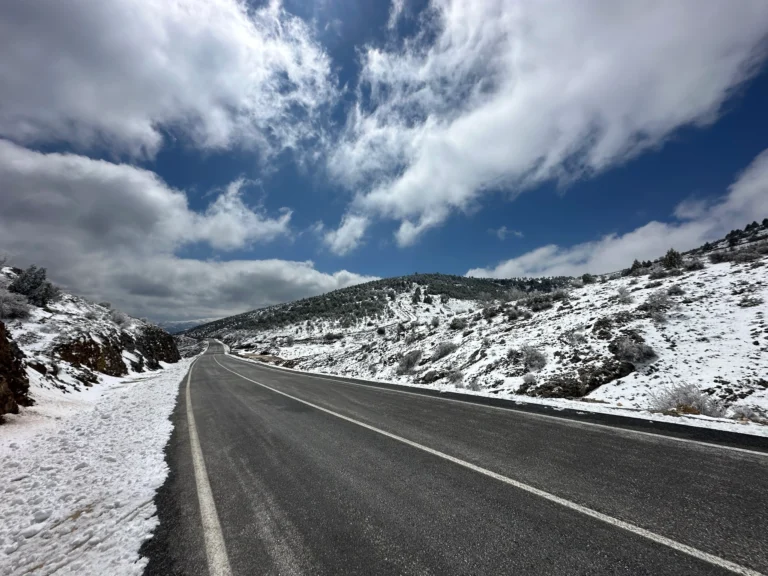 c0318c1e 5904 41d0 80a8 e216f02815c8