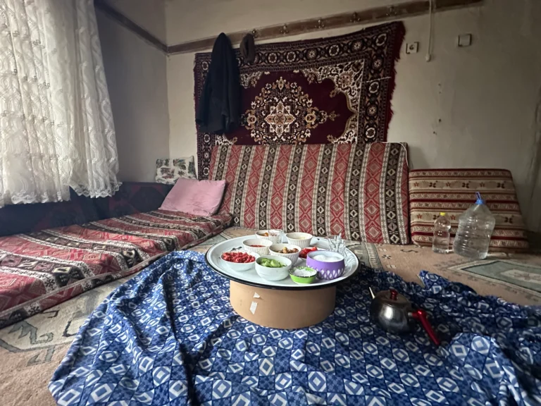 c273e098 e0a4 41fd bcf1 50721b70101e