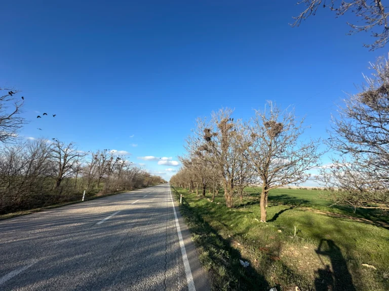 c3510f94 b4c7 4499 9505 a1d372878386