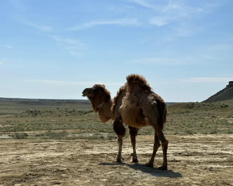 c6335456 7356 44ef bc01 f81c3bd6e90c