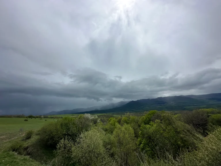 c637540c d2b6 44a5 b6cd 3ff08d4df469