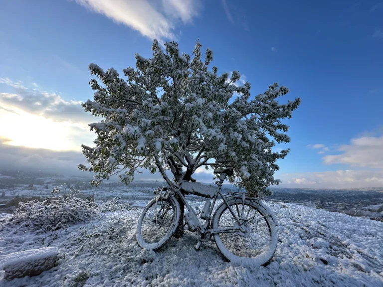 cdaa3984 6652 4713 a798 8dc7326b243e