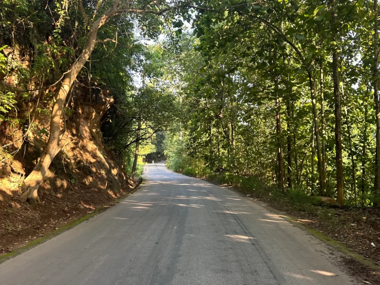 Blog Tag 181 cdcc0bfc 59c4 430d bc89 d609627f85bd