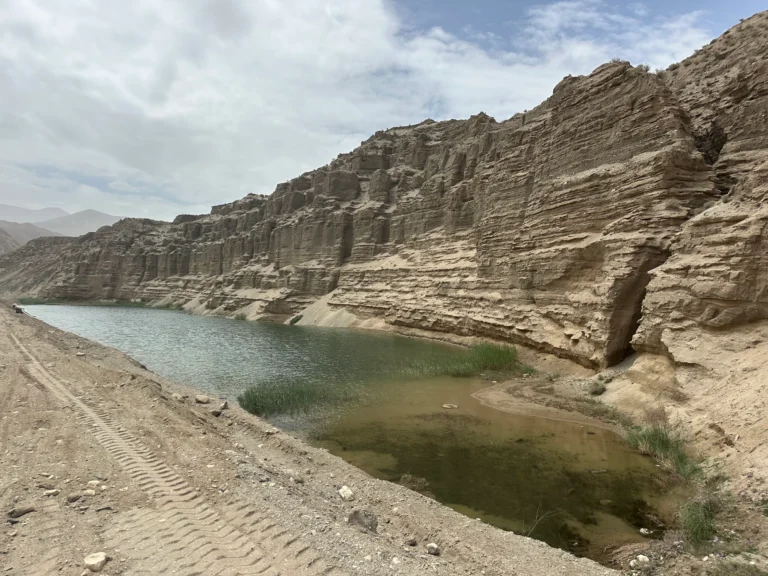 Blog Tag 149 cff76715 13e9 4a64 9e2b ffacf27714ce