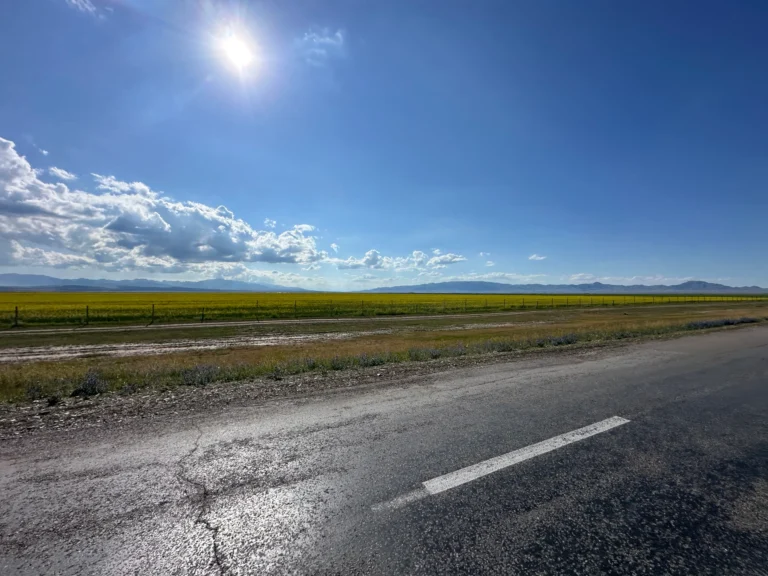 d16d637b ecc8 46d2 bad1 3401427b8e66