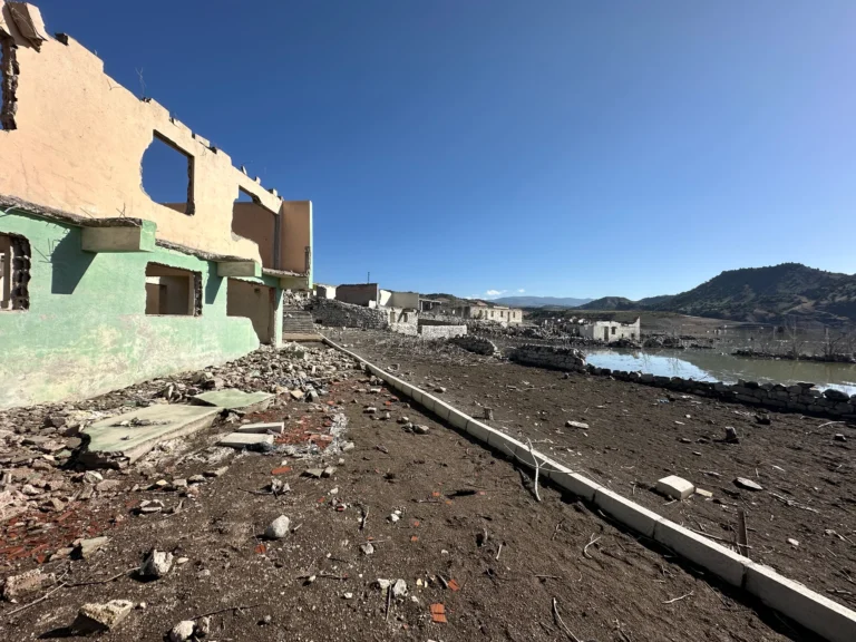 d1ee9137 24ca 4fb4 8013 6d980c5d226b