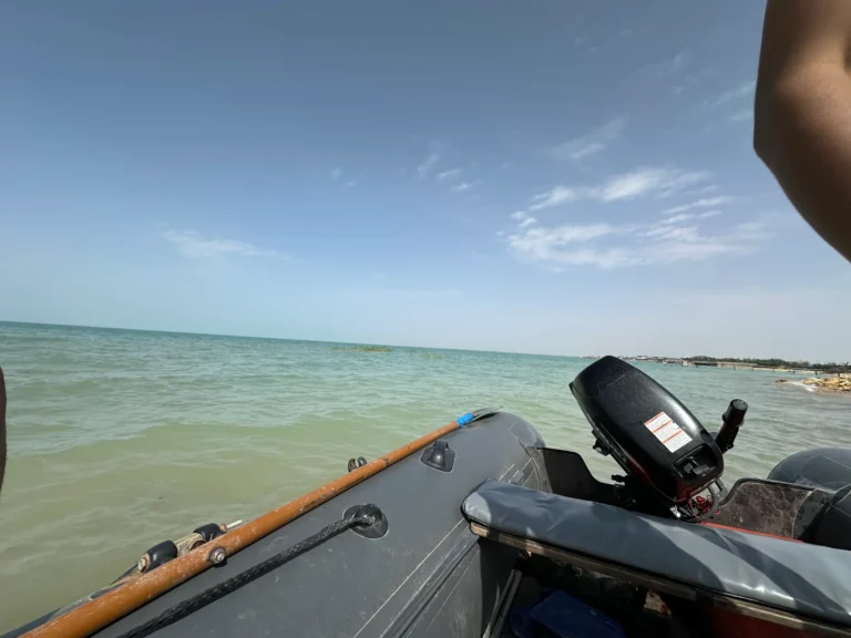 d27ef937 d51c 4251 818a 69b357c1228a