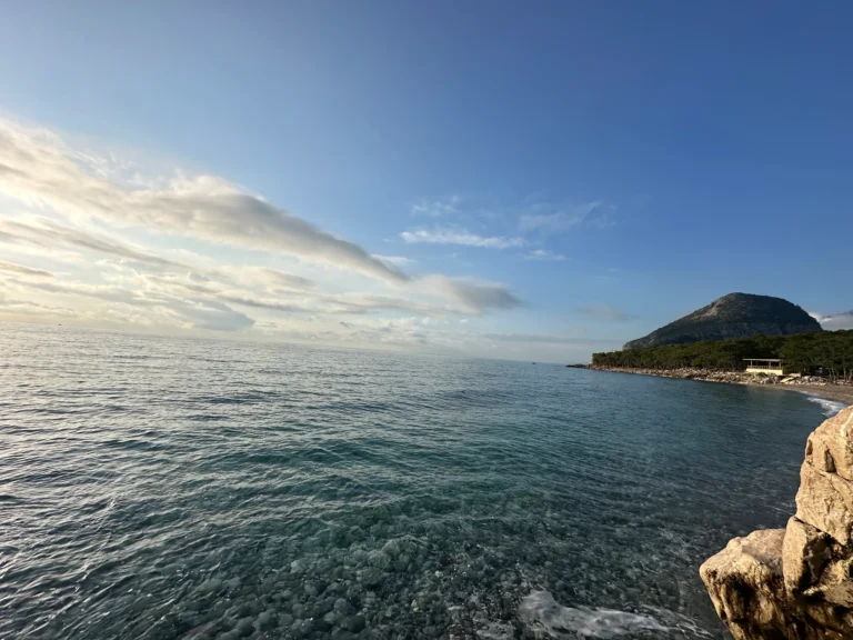 d467d650 9a82 4cd1 9f55 d9ef0882405f