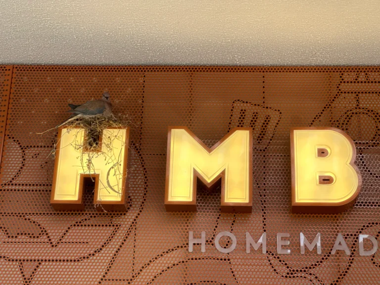 d471fcdd c47a 4072 ad4d 2a16b14b937f