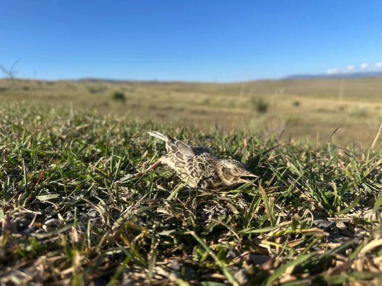 d47ec085 4b7e 4b9a 8082 19d38efb713d