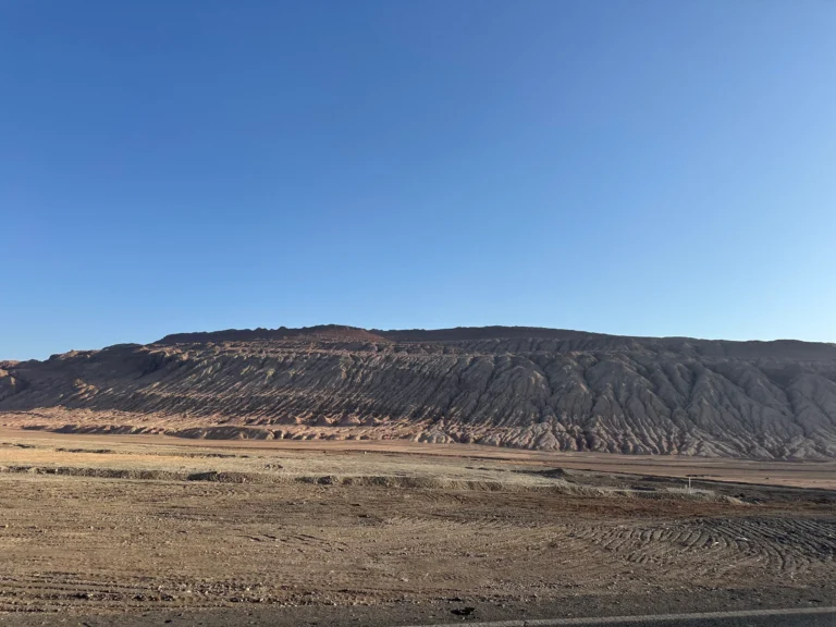 d711e1d8 0e1a 4855 9e43 572165816905