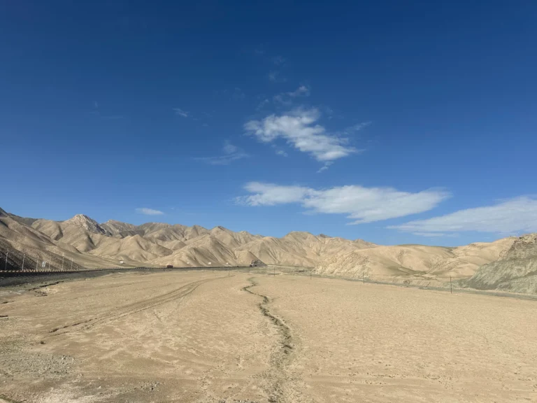 d87c9528 7700 429e 8da6 7a5a8feb2c79