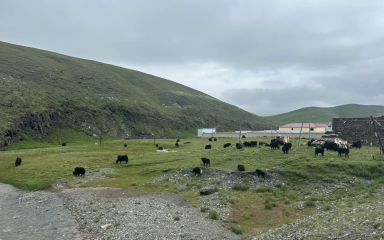 Blog Tag 151 dc782a13 0646 499d bff0 1d3b9bed92c2