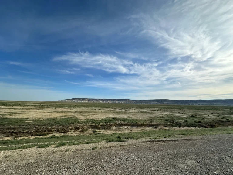 deef5edf 2af2 40e8 b35a 727d6e360e80