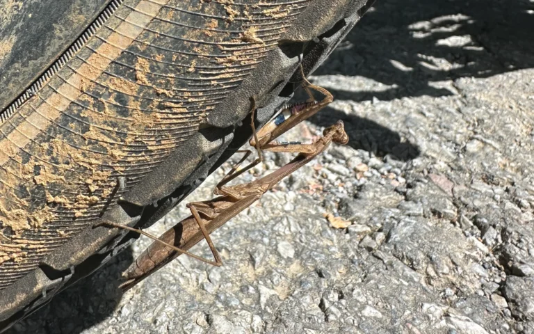 df1e1f49 91dd 41bc a0fb 84251d324fa6