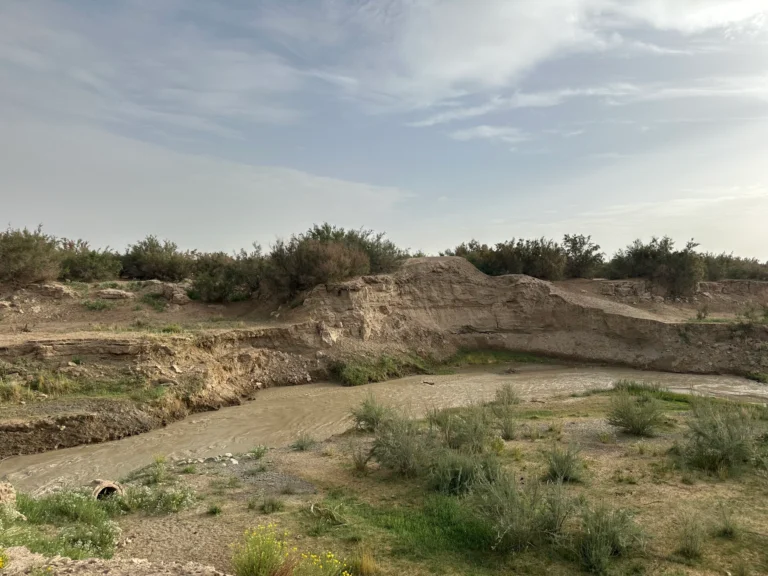 Blog Tag 145 e29f1fc1 36d4 4604 b2e0 49a01c104732