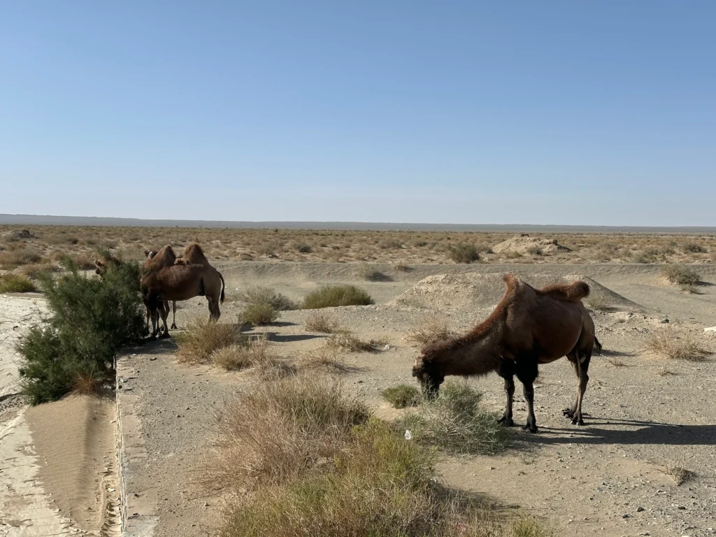 e99688ea 227e 498f a49c a3632dadbbbc