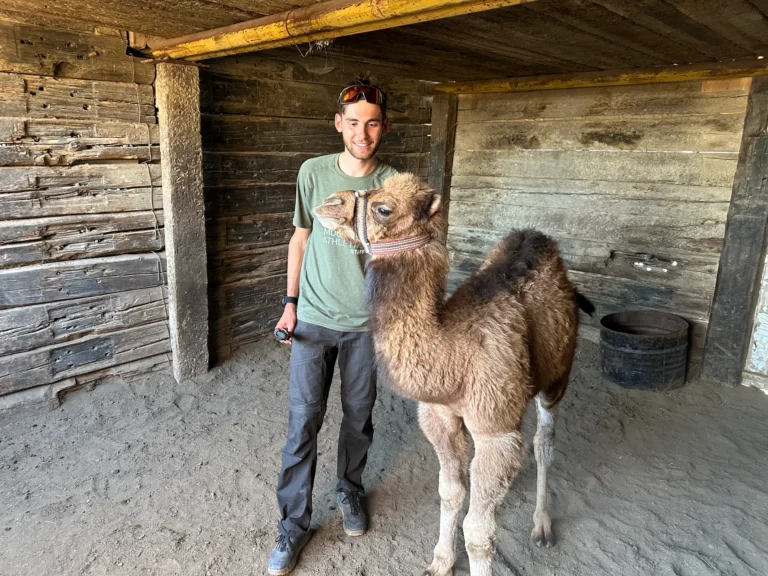 ec225ee9 0fa5 454a b8d2 9fb872552de7