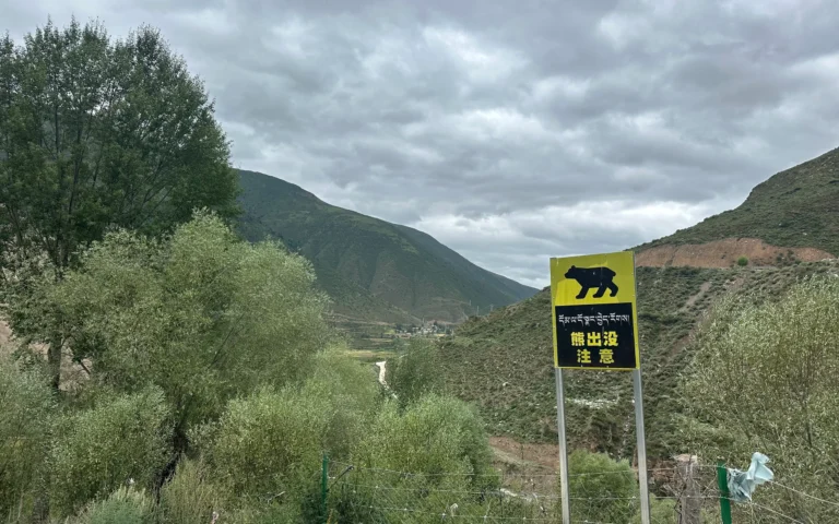 ec418ae2 d2e7 422c 9279 4226f448b341