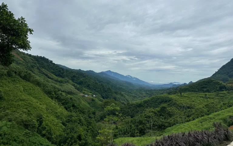 ece9ce7b 8e34 4cf7 8e47 2f54e7c1db5e