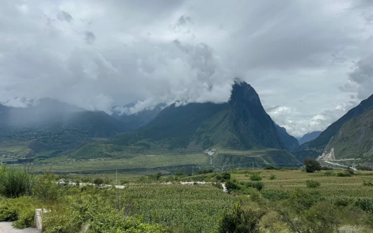 ed3b29ed 09c9 4b33 99c2 26c0133ffee9